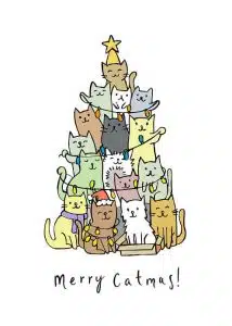 Kerst tekst kat